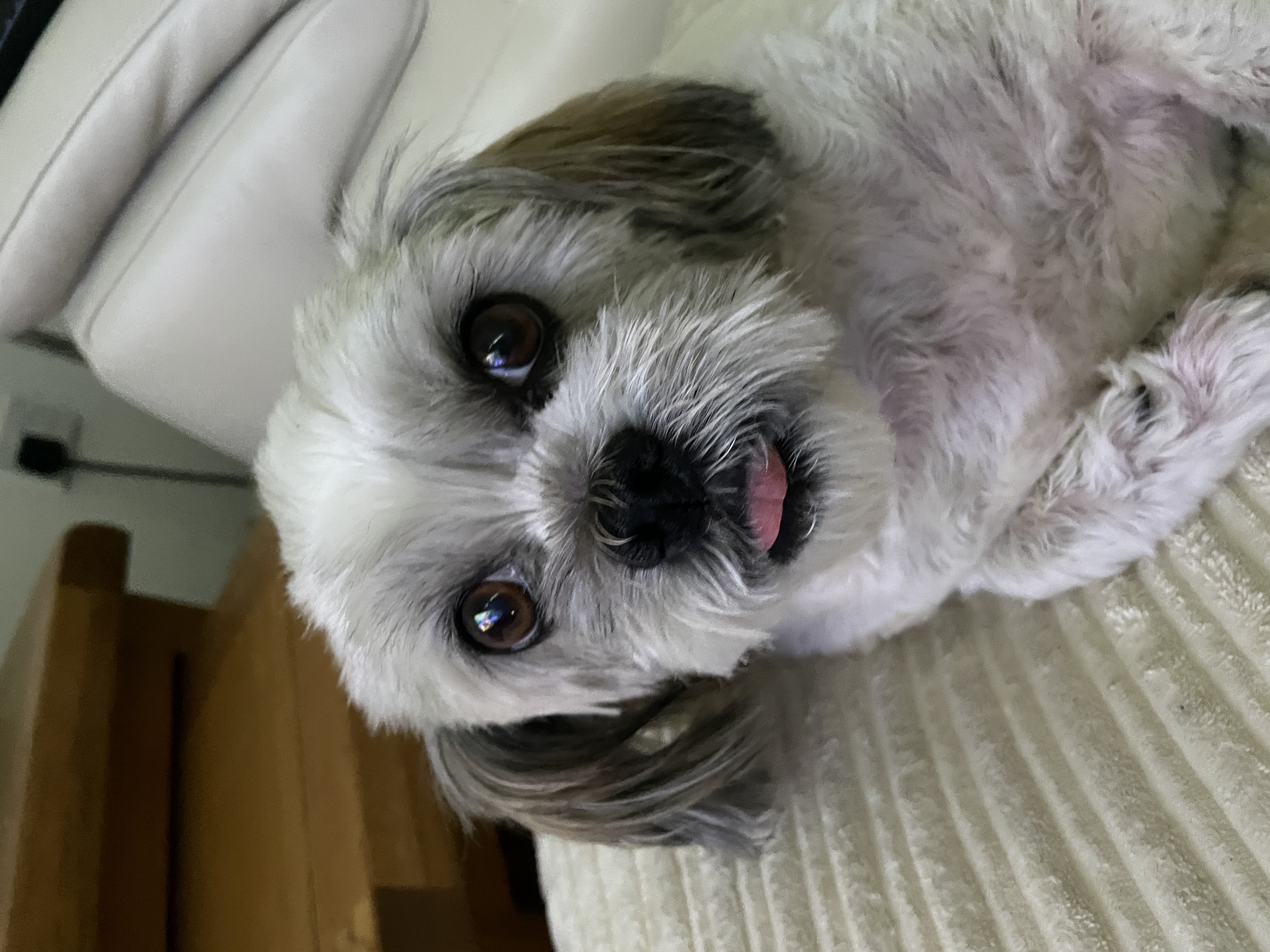 Chloe